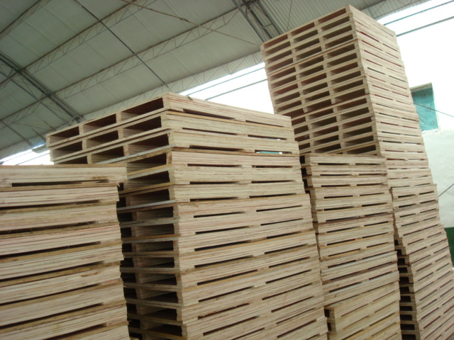 �бP(p��n)��Ԕ��(x��)��B