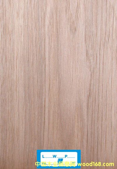 �ľ��Ԕ��(x��)��B