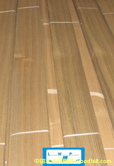 ̩�ֵ�Ԕ��(x��)��B