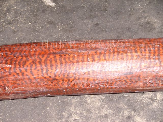 �߼yľ��Ԕ��(x��)��B