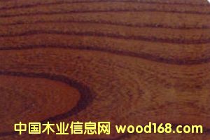 �c(di��n)���鿴��(sh��)ľ�ذ��ľ�Ŵ�DƬ