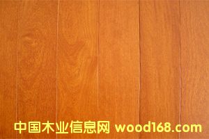 �c(di��n)���鿴��(sh��)ľ�ذ巬���۷Ŵ�DƬ