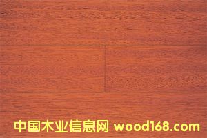 ��ľ�ذ庣��ľ