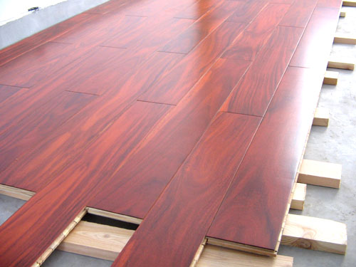 �c���鿴��ľ�ذ�Ŵ�DƬ