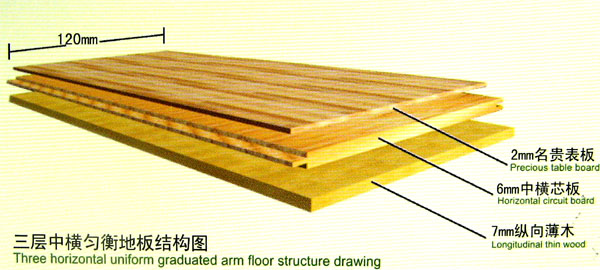 �c���鿴��ľ�ذ�Ŵ�DƬ