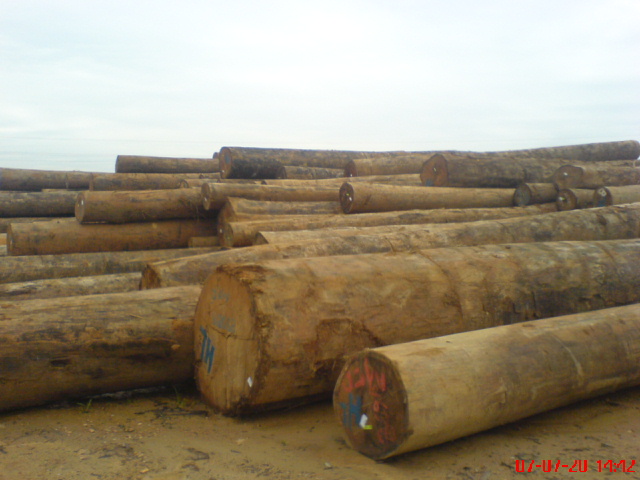 ľ�ĵ�Ԕ����B