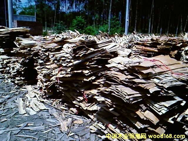 ��ľ�������Ԕ��(x��)��B