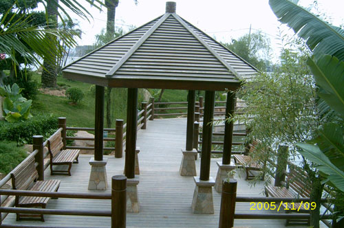 ����ľ��ͤ��Ԕ��(x��)��B