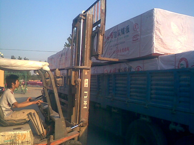 �S�ｨ��ģ���Ԕ����B