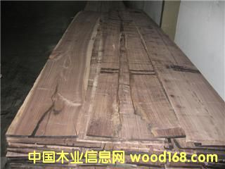 ����Ԕ��(x��)��B