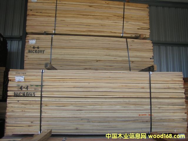 ɽ����hickory��Ԕ��(x��)��B