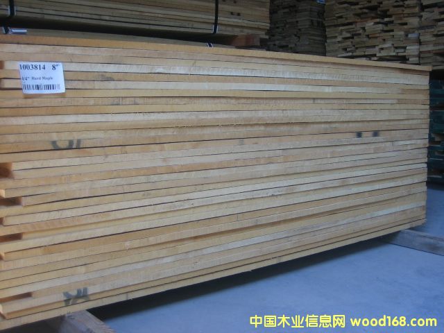 Ӳ��hard maple��Ԕ��(x��)��B