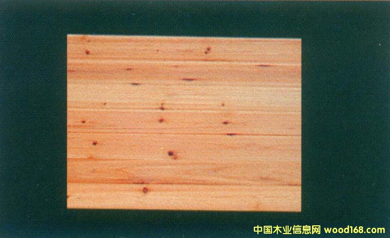 ��(x��)ľ�����Ԕ��(x��)��B