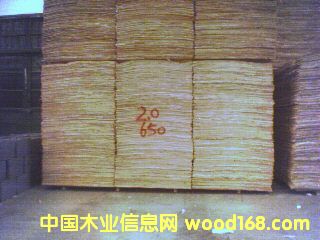 ��ľ�ΰ��Ԕ��(x��)��B