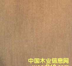 ���s���Ӱ��Ԕ��(x��)��B