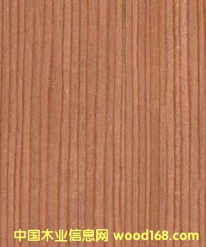 �c(di��n)���鿴����1801�Ƽ�ľƤ�Ŵ�DƬ