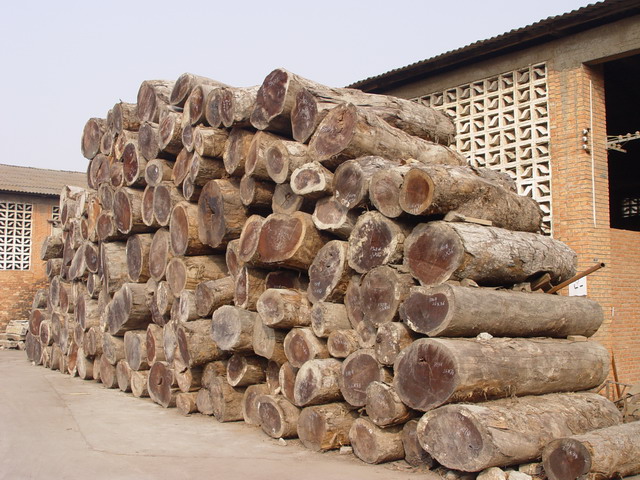 �S���ľ��Ԕ����B