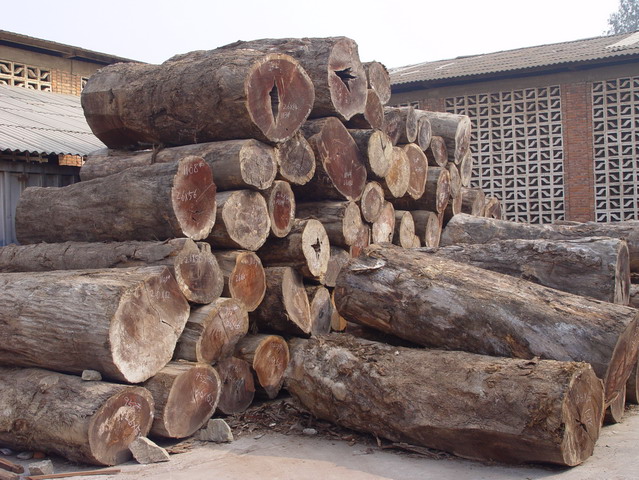 �S���ľ��Ԕ����B