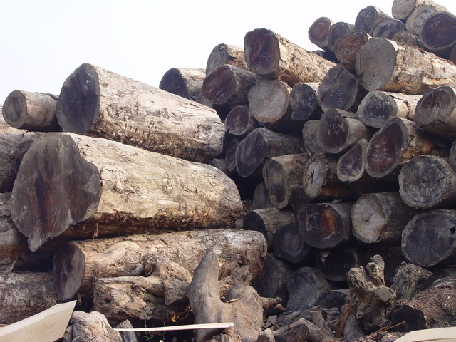 �S���ľ��Ԕ����B