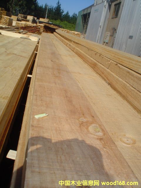 �c���鿴chile radiata pine edged rough�Ŵ�DƬ