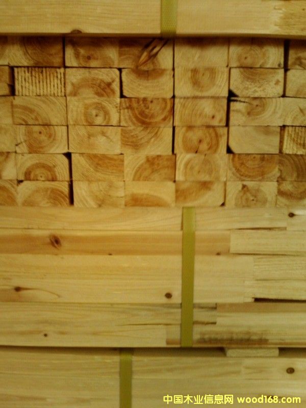 �c(di��n)���鿴5�Ŵ�DƬ