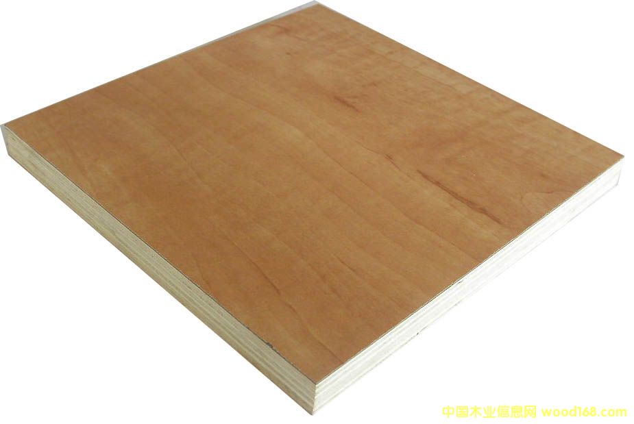 �c���鿴��ľо�z�ϰ�Ŵ�DƬ