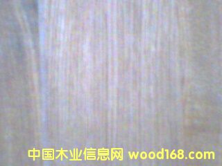 �c(di��n)���鿴0.5MM��ľֱ�y�Ŵ�DƬ