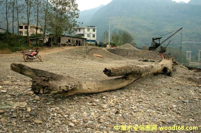 �c(di��n)���鿴��ľ��ǧ��ˮ��ľ���Ŵ�DƬ