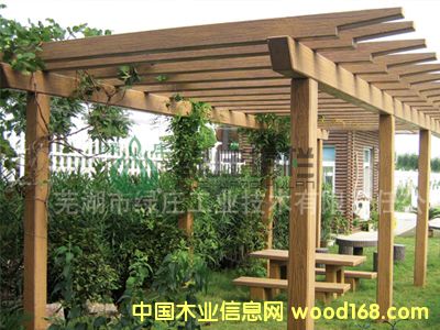 �c���鿴��ľ���ѼܷŴ�DƬ