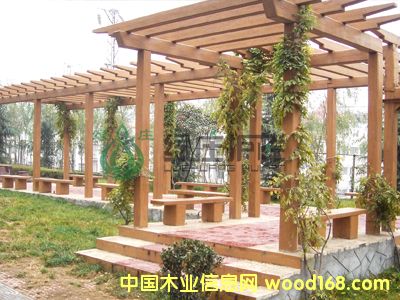 �c���鿴��ľ���ܷŴ�DƬ