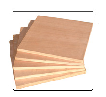 ���⵶ģ���z�ϰ�