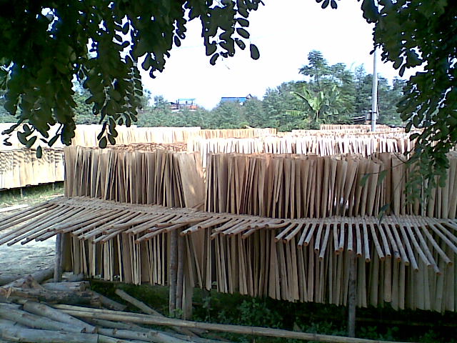 �c���鿴��ľľƬ�Ŵ�DƬ