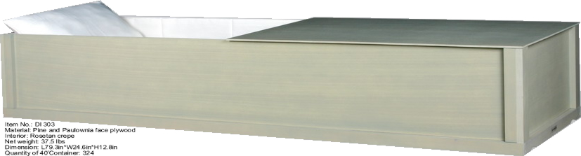 �c���鿴DI303�Ŵ�DƬ