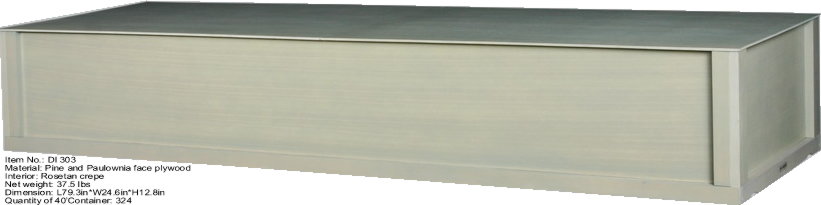 �c���鿴DI303�Ŵ�DƬ