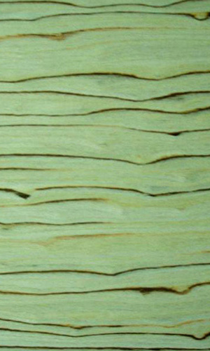 �ױ����Ԕ����B