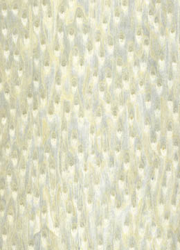 ��؈�۵�Ԕ��(x��)��B