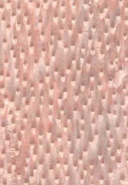 ��؈�۵�Ԕ��(x��)��B