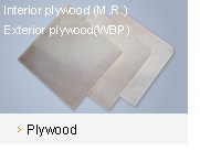 �c���鿴plywood�Ŵ�DƬ