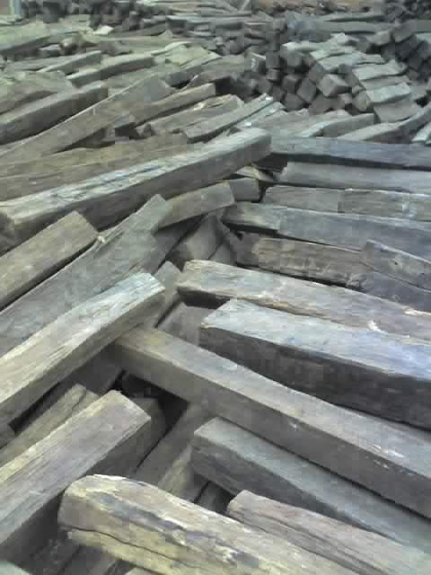 �c���鿴������֦ľ�Ŵ�DƬ