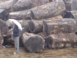 �c(di��n)���鿴�����z�ľ�Ŵ�DƬ