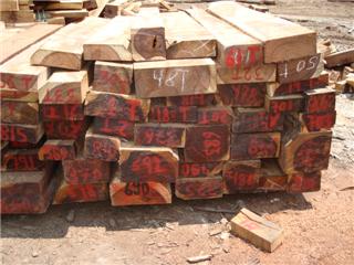 �c���鿴܊�����Ŵ�DƬ