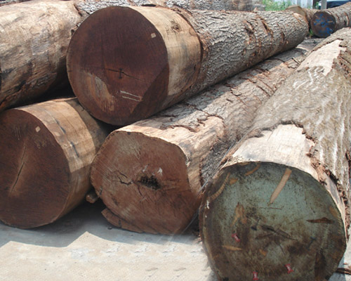 �ں���ԭľ��Ԕ��(x��)��B