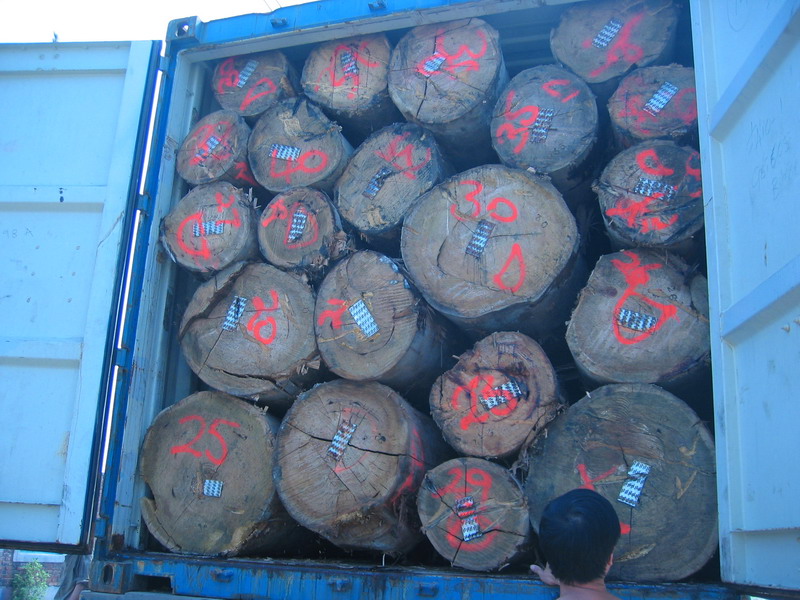 ؛��ԭľ��Ԕ��(x��)��B