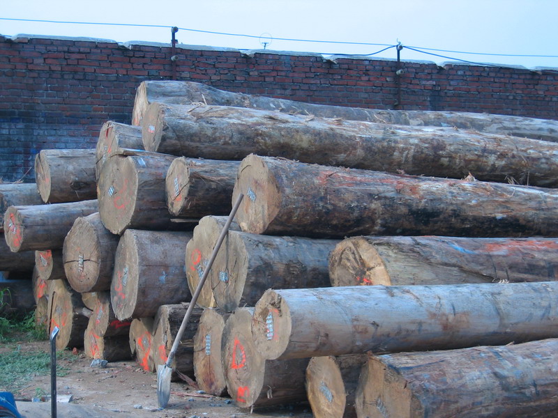 ԭľ��ŵ�Ԕ��(x��)��B