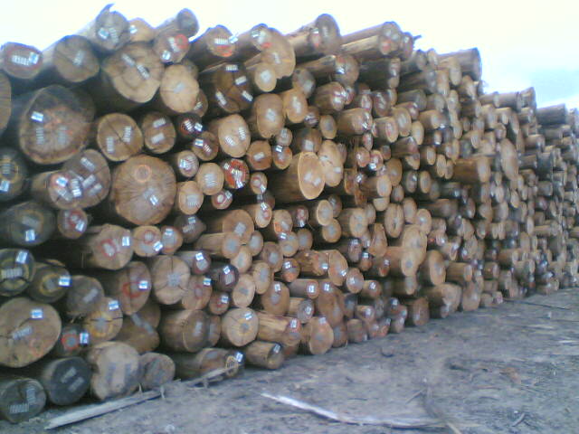 ���޿ڰ�ԭľ��Ԕ��(x��)��B