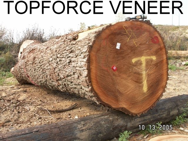 �����ں������м�ԭľ(����)��Ԕ��(x��)��B