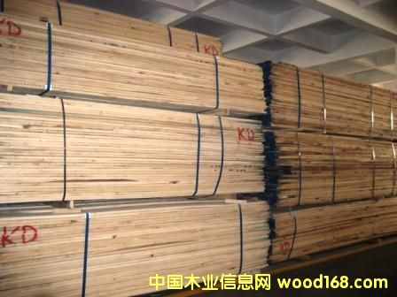 �t��ľ��Ԕ����B