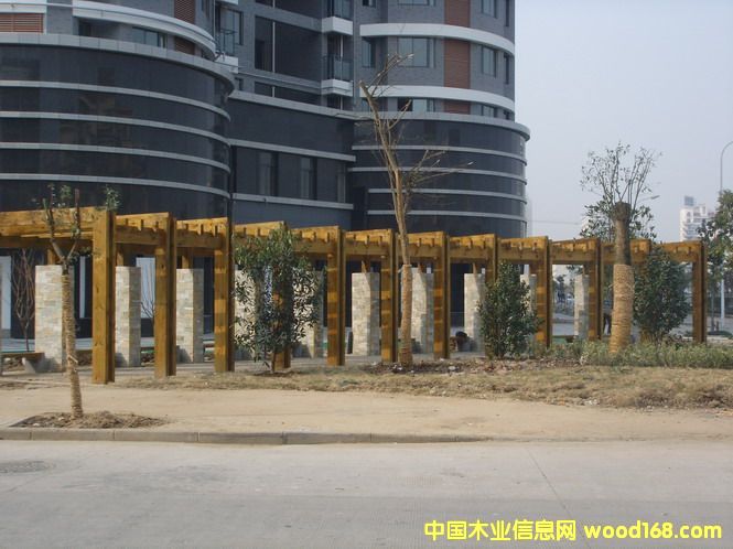 ����ľ����