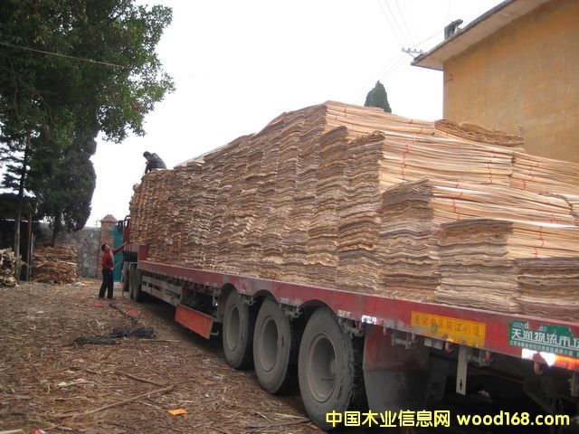 [��] ��ľ��Ƭ