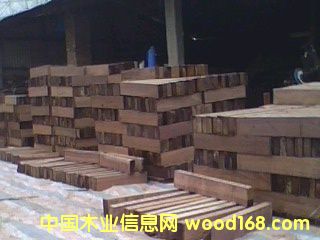 �����ں��ҵذ�ë����Ԕ��(x��)��B